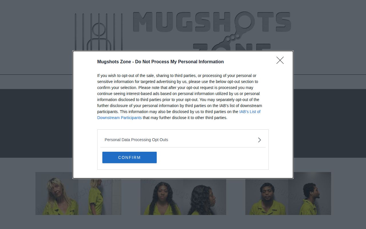 Roanoke City crime and mugshot records context from an unofficial city-labeled third-party page